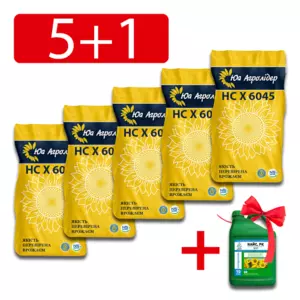 Насіння Насіння